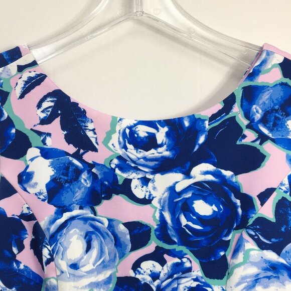 Betsy Johnson Blue and Pink Floral Design Sleeveless Open Back Midi Dress Size 8 - Picture 2 of 9